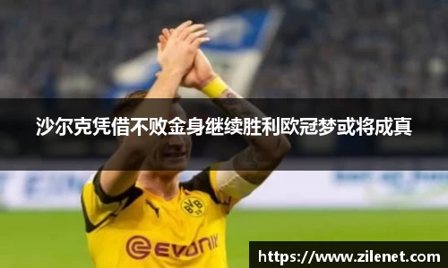 沙尔克凭借不败金身继续胜利欧冠梦或将成真