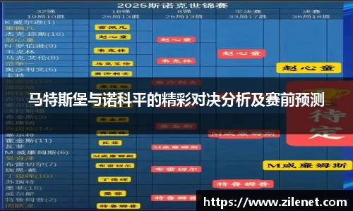 马特斯堡与诺科平的精彩对决分析及赛前预测