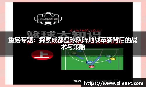 重磅专题：探索成都篮球队阵地战革新背后的战术与策略